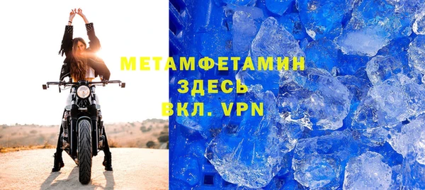 прущие грибы Заволжье