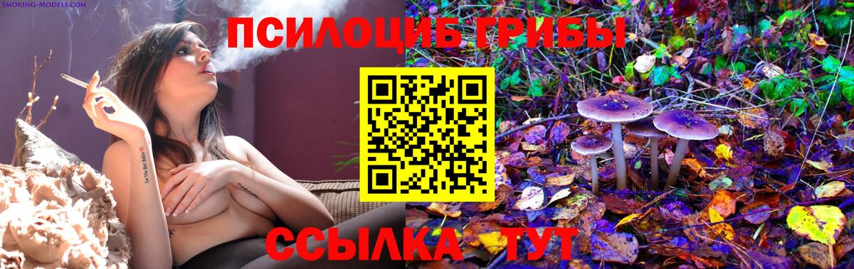 Галлюциногенные грибы MAGIC MUSHROOMS  Вход с VPN  Мыски 