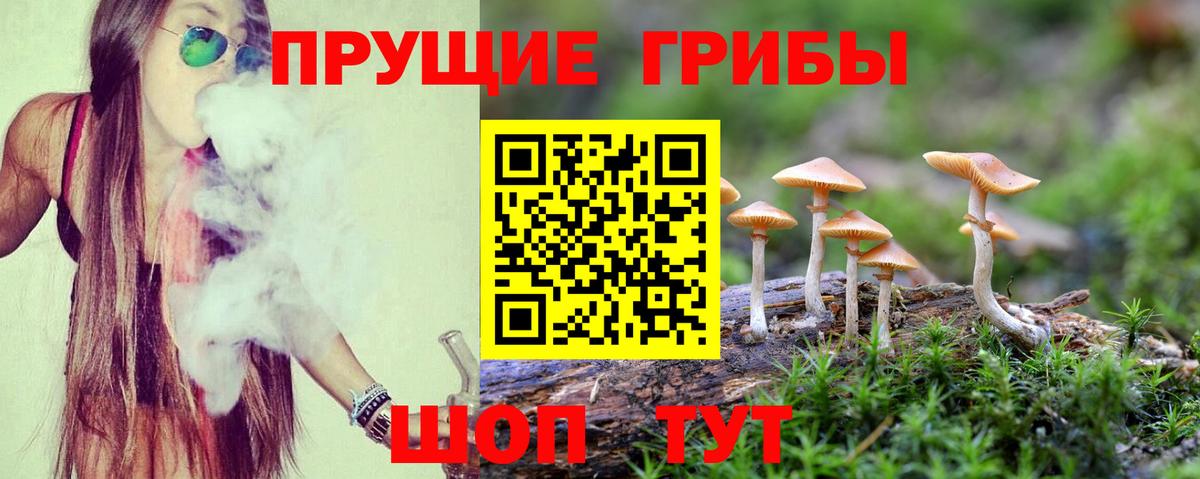 Псилоцибиновые грибы ЛСД Мыски